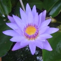 ざっきーさんのプロフィール画像