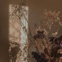 🐣 (@klasikderya) Twitter profile photo