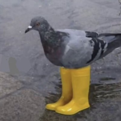 teddynannie's profile picture. 🧸🍕🎨🎞✨