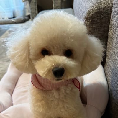 韓国ドラマにハマって15年、字幕なしで見たいと思い韓国語を勉強✏️…今でもがっつり字幕で見てます😅K-popも好きです🧡 #韓国ドラマ好きな人と繋がりたい #김영대 #추영우 #정해인