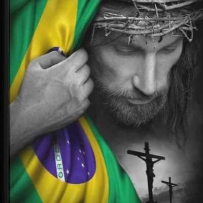 Brasileiro,carioca,cristão ✝️ 
Patriota ,bolsonarista e anti Lule!