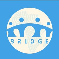 Bridge(@Bridge1832490) 's Twitter Profile Photo