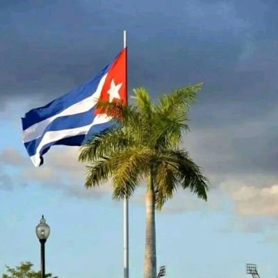 AcevedoEsm33256's profile picture. 