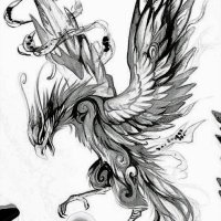 Phoenix ๐ฆโ๐ฅ (@_cryptophoenix_) 's Twitter Profile