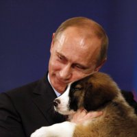Путин говорит(@CzarSays) 's Twitter Profile Photo