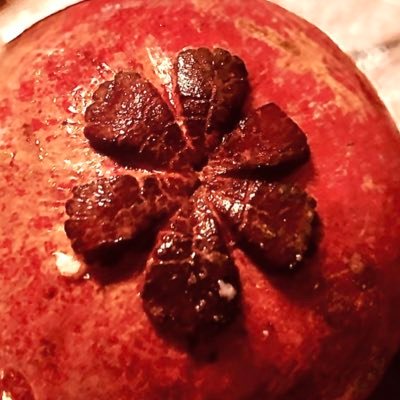 tungwene's profile picture. 