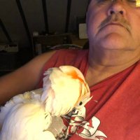 Terry (@terrylmc423) 's Twitter Profile