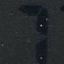 ttalking35891's profile picture. 