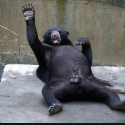 Baysonnnn's profile picture. 