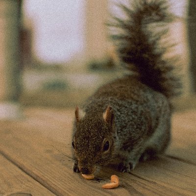 kiss_peter83577's profile picture. 