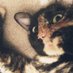 Irena (@rycynka1952) Twitter profile photo Irena (@rycynka1952) Twitter profile photo