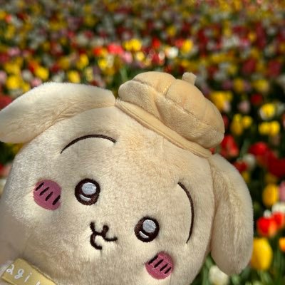 みみみちゃんさんのプロフィール画像