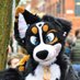 Wednesday! (@wednesdayweird1) Twitter profile photo Wednesday! (@wednesdayweird1) Twitter profile photo