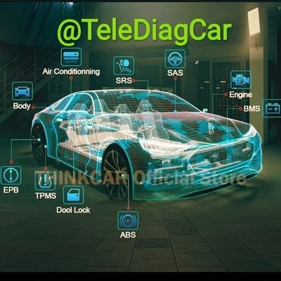 teleDiagCar Profile Picture