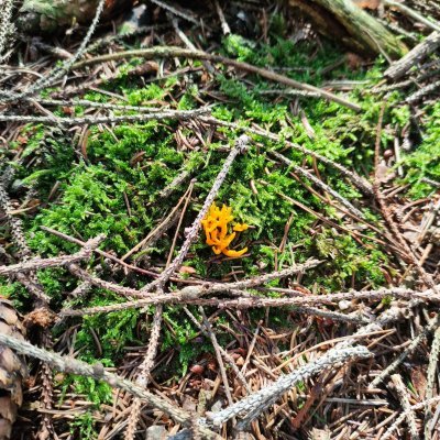 Raps, Noise. Breakcore, Improvised Musics
Making soothing sounds in between the movements.
https://t.co/TDCZG5xVJl