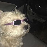 𝓪𝓪𝓻𝓲_ (@aandaimi_) 's Twitter Profile