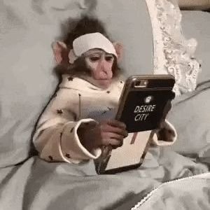 aoonneee's profile picture. 