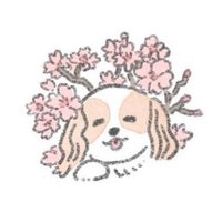 pom21 (@ramutan616869) Twitter profile photo
