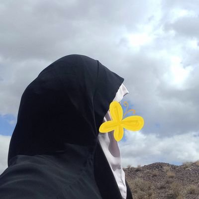 khoshnevisan20's profile picture. 