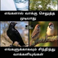 நா.வெங்கடபதி(@vengadabat44218) 's Twitter Profile Photo