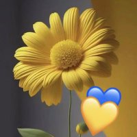 Abu abdullah (@jazaarashed) Twitter profile photo