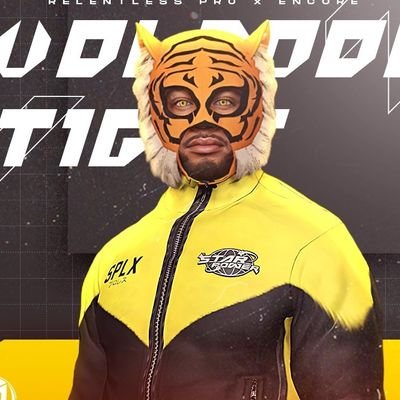 the tiger luchador | afro-latino wrassler | be doing flips and tricks