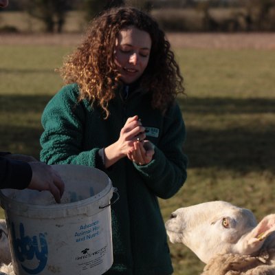 Technical Coordinator at LEAF, working with our Demonstration Farms and Innovation Centres🌿  Kernow