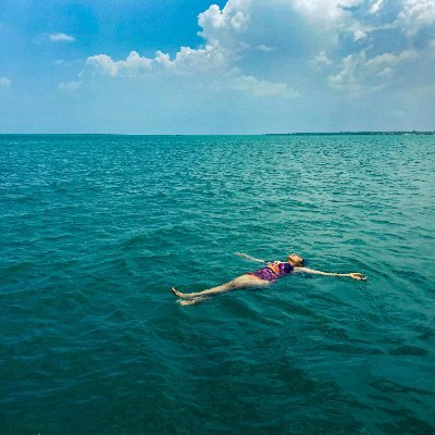 BokrosBela42648's profile picture. 