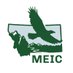 MEIC (@MTEIC) Twitter profile photo