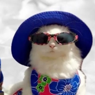 geebinks's profile picture. 