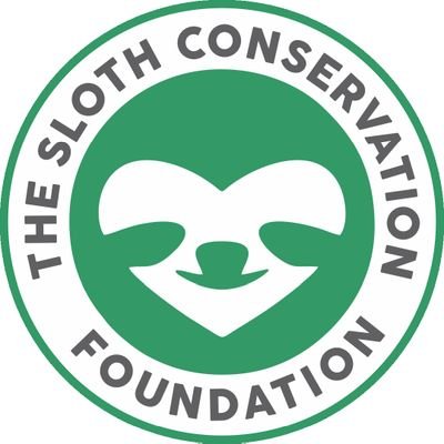 SlothCon Profile Picture