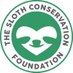 The Sloth Conservation Foundation (@SlothCon) Twitter profile photo