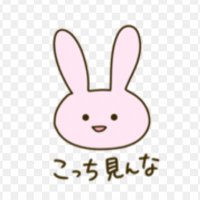 にとちゃん(@usa_nitto_maru_) 's Twitter Profile Photo