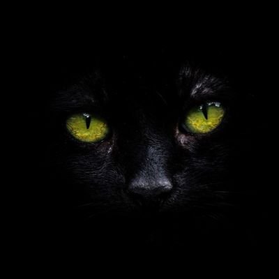 cicing_gudig77's profile picture. Rebahan