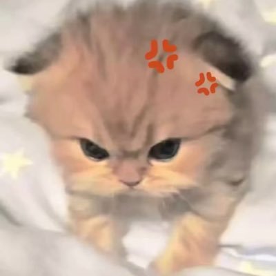 pinkkunoo03's profile picture. 