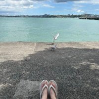 剪爱 (@jian_ai60286) 's Twitter Profile