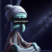 Ameer_Al_Sigma Al Zanyar🏴🇸🇬 🏴 (@acompromised) 's Twitter Profile