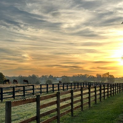 Tracking all your favorite horses, from daily workouts to results from the weekend's top races. Born and raised at Del Mar