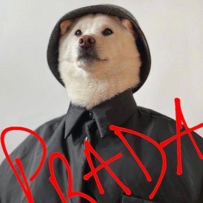 prada_john3248 Profile Picture