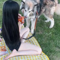 小野 (@xiaoyeyw) 's Twitter Profile