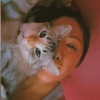 Margot y sus Gatos (@margot22537578) 's Twitter Profile Photo Margot y sus Gatos (@margot22537578) 's Twitter Profile Photo