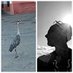 Roberta Paredi (@72pare) Twitter profile photo Roberta Paredi (@72pare) Twitter profile photo