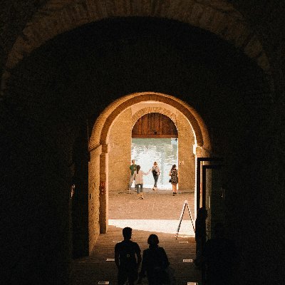 tothliza232560's profile picture. 