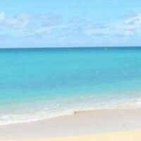 Visit New York USA (@visitnewyorkusa) 's Twitter Profile