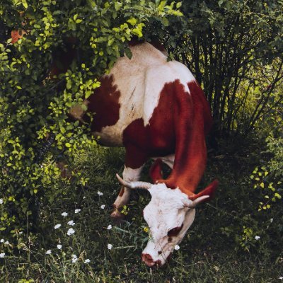 PalinkoI89062's profile picture. 