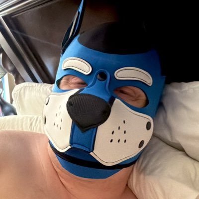 Lvl 29 good boy 🫡 Beta to @PupLoganTX ⛓️🔑 I’s just a silly dog!! NSFW 18+🔞