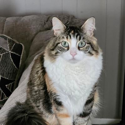 GooTheFool0430's profile picture. Don't Follow me.