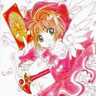 Fan de manga et surtout de CLAMP!🌸