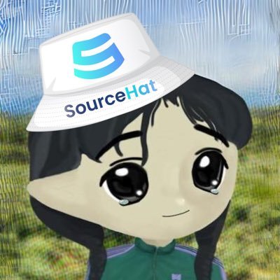 Founder & CEO @SourceHatLabs (formerly known as Solidity Finance) | Smart Contract Dev | DeFi Security | Reverse Engineering | Tesla Hacking