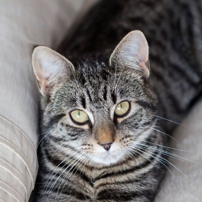 Mreed91008138's profile picture. No DMs unless requested, thank you